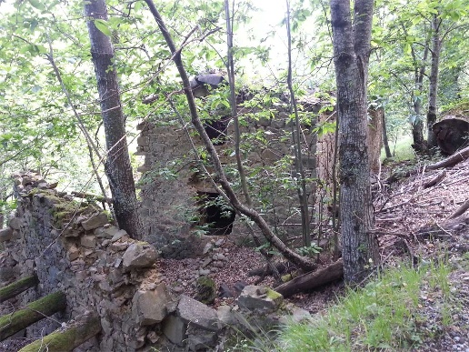 immagine annuncio 4 di 13