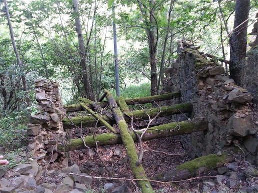 immagine annuncio 5 di 13