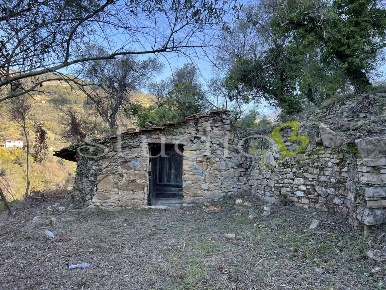Foto Rustico in Località Madonna delle Neve snc, Vallebona di 45 m²