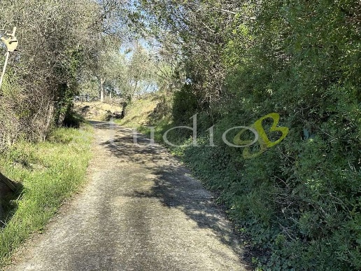 immagine annuncio 6 di 8