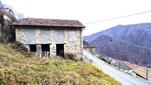 immagine annuncio 3 di 14
