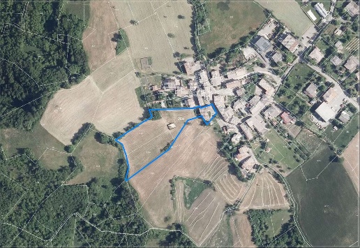 immagine annuncio 2 di 11
