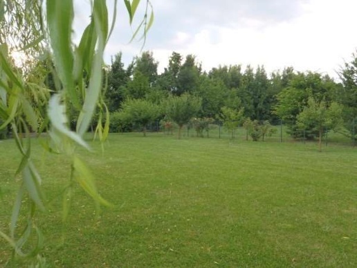 immagine annuncio 7 di 13