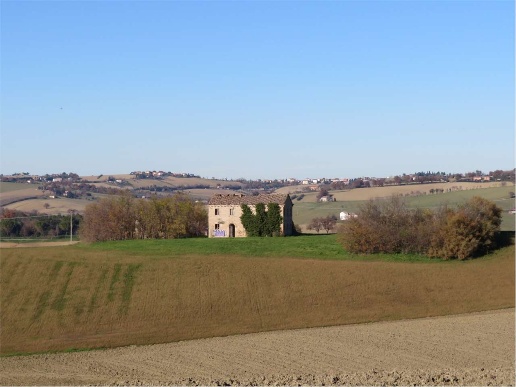 immagine annuncio 5 di 11