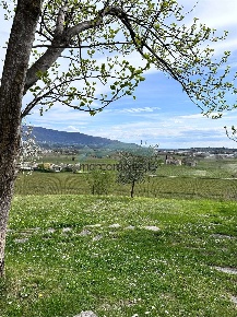 Foto Villa bifamiliare a Vittorio Veneto di 300 m² con 8 locali in vendita