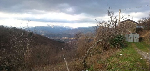 immagine annuncio 2 di 11