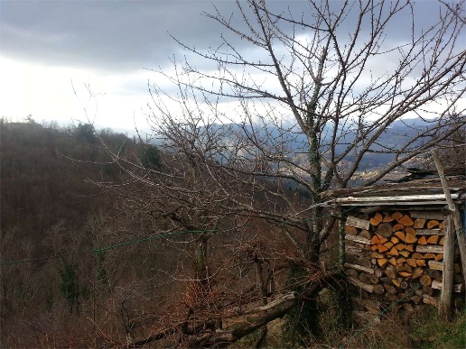 immagine annuncio 3 di 11