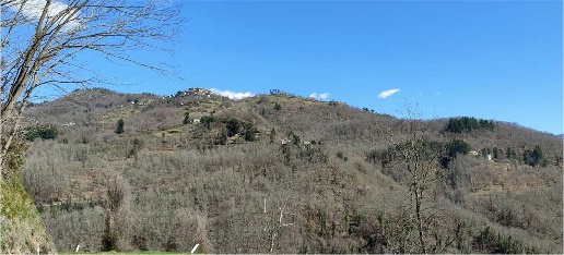 Foto Rustico in bargecchia, Pieve Fosciana di 350 m² con 13 locali