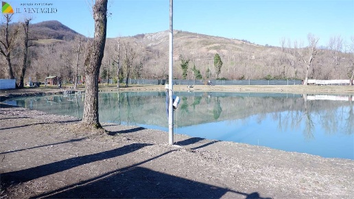 immagine annuncio 4 di 8