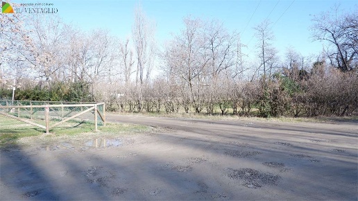 immagine annuncio 7 di 8