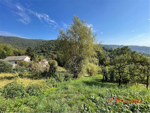 immagine annuncio 4 di 12