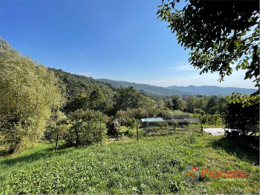 immagine annuncio 10 di 12