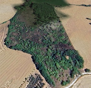 Foto Rustico a Belvedere Ostrense di 137 m² con 8 locali in vendita
