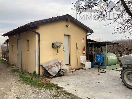 immagine annuncio 4 di 7