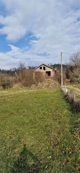 immagine annuncio 2 di 11