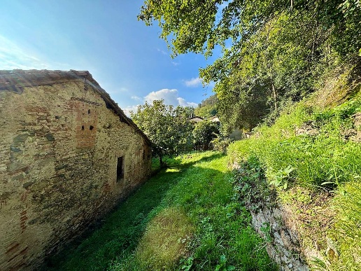 immagine annuncio 12 di 14