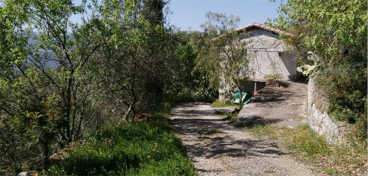 Foto Rustico a San Biagio della Cima di 60 m² con 1 locali in vendita