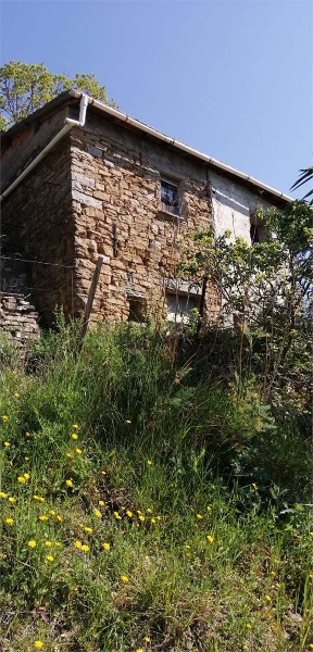 immagine annuncio 7 di 14