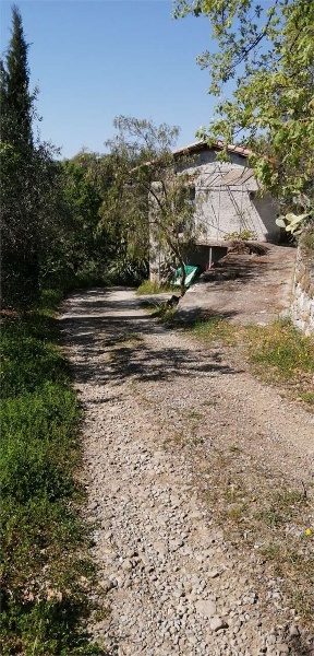 immagine annuncio 9 di 14
