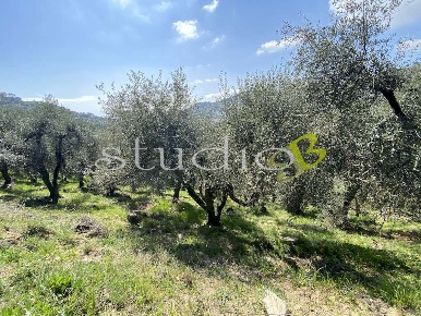 Foto Rustico in Massabò, Perinaldo di 30 m² con 2 locali in vendita