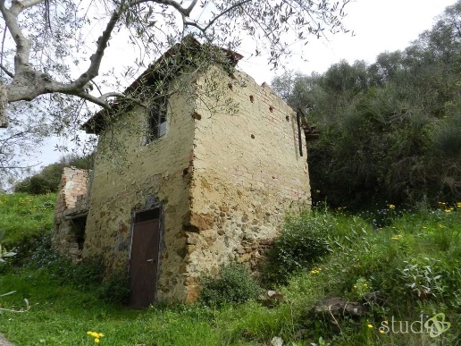 immagine annuncio 1 di 8