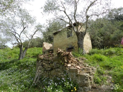 immagine annuncio 2 di 8