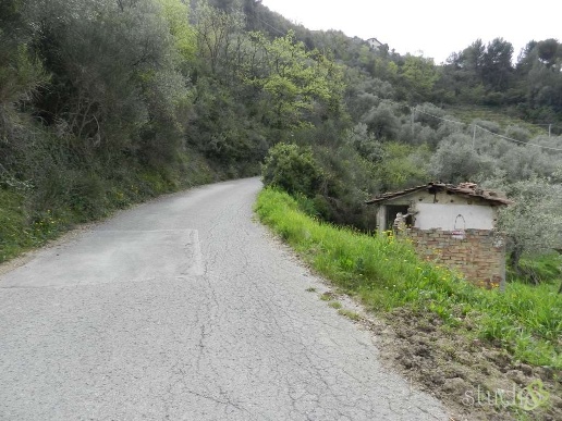 immagine annuncio 6 di 8