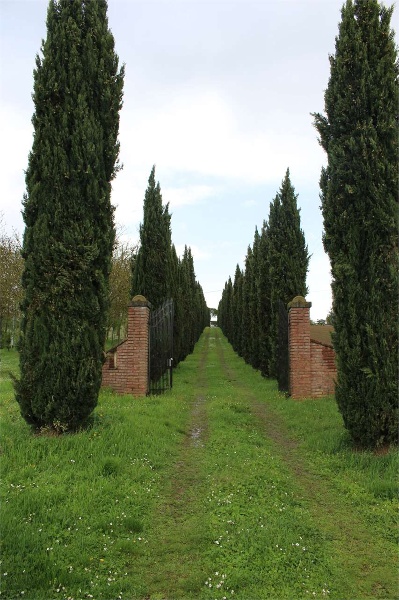immagine annuncio 11 di 13