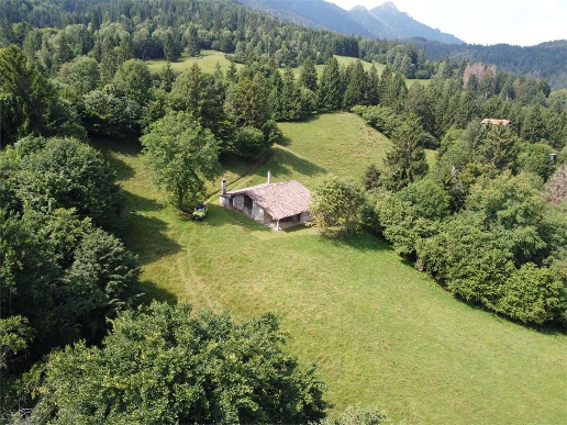 immagine annuncio 6 di 9