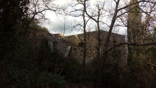 immagine annuncio 4 di 6