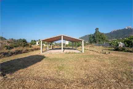 Foto Rustico a Torpè di 3800 m² con 2 locali in vendita