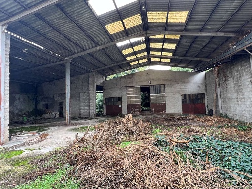 immagine annuncio 7 di 12