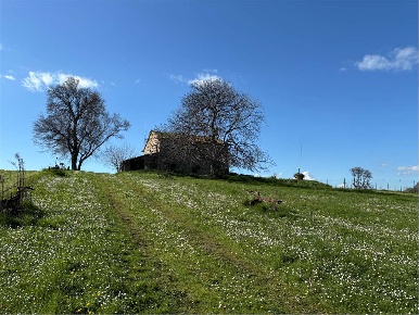 Foto Rustico in Corso XXI Gennaio 125, Vallefoglia Montecchio di 480 m²