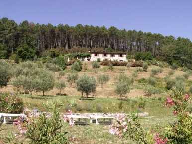 Foto Rustico in colled i compito, Capannori di 140 m² con 6 locali