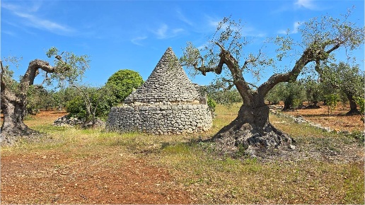 immagine annuncio 2 di 13