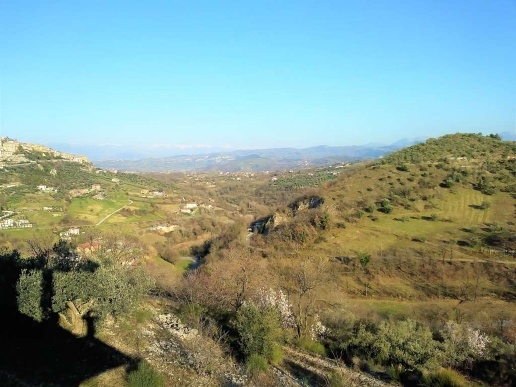 immagine annuncio 7 di 14
