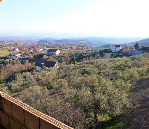immagine annuncio 9 di 14