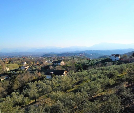 immagine annuncio 11 di 14