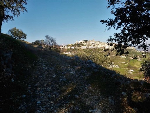 immagine annuncio 13 di 14