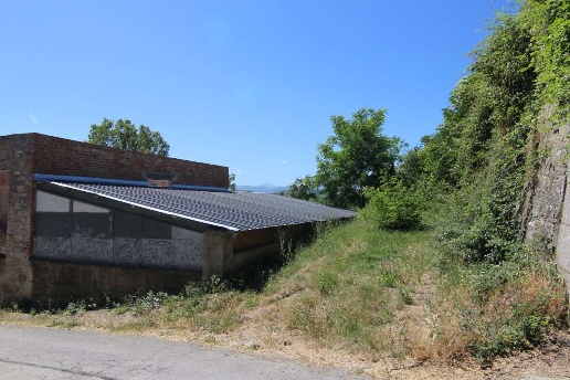 immagine annuncio 3 di 9