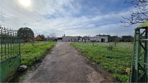 Foto Rustico a Conversano di 633 m² con 18 locali in vendita
