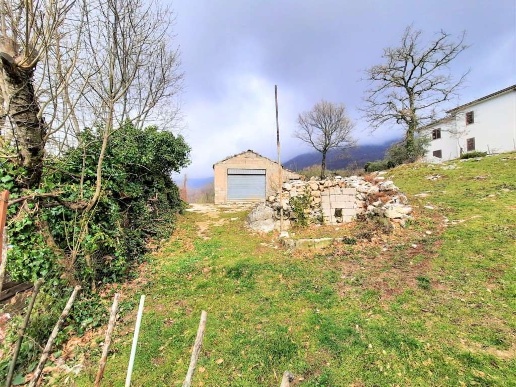 immagine annuncio 3 di 13
