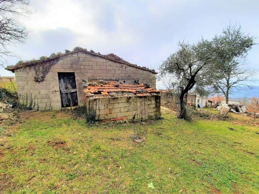 immagine annuncio 7 di 13