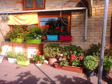 Foto Rustico a Cappella Maggiore di 511 m² con 14 locali in vendita