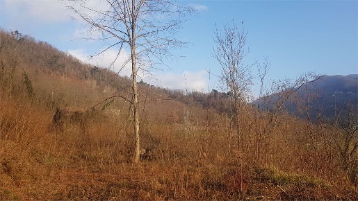 Foto Rustico in Via di piana, Gallicano di 120 m² con 2 locali in vendita