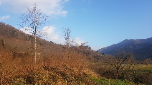 immagine annuncio 5 di 7