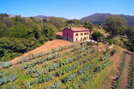 Foto Rustico in via statale radici, Castiglione di Garfagnana Centro
