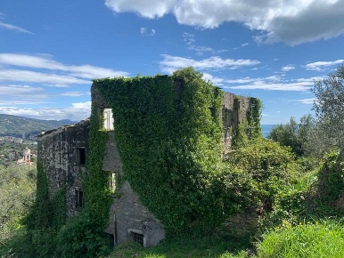 Foto Rustico in Località Bacezza, Chiavari di 400 m² con 10 locali