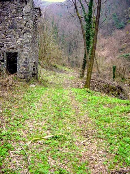immagine annuncio 1 di 2