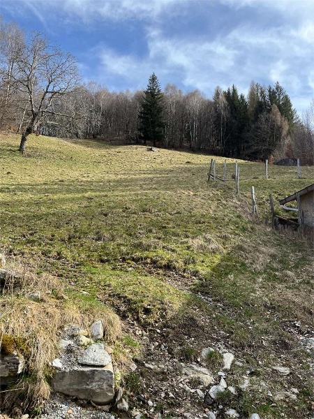 immagine annuncio 9 di 11